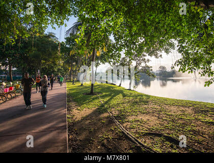 The Titiwangsa Lake Gardens is a recreational park for the public. It has a few huge lakes in the middle of the park in the middle of Kuala Lumpur. Stock Photo