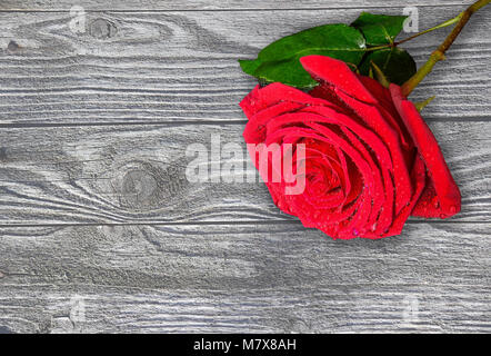 Beautiful single red wet rose with water drops on a toned rustic wooden background close up with copy space for text Stock Photo