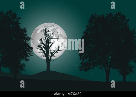 vector illustration of a deep deciduous forest under a night sky with full moon Stock Vector