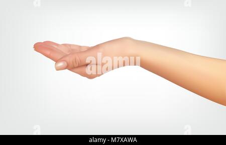 Realistic 3D Silhouette of hand asking, with the shape of bucket. Vector Illustration Stock Vector