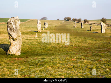 Lines of standing sarsen stones form the Avenue, Avebury World Heritage site, Wiltshire, England, UK Stock Photo