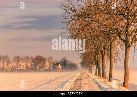Winter in Holland in the Kroonpolder near Drieborg, far up north in the province of Groningen, Netherlands