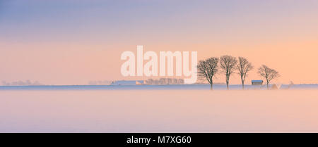 Winter in Holland in the Kroonpolder near Drieborg, far up north in the province of Groningen, Netherlands
