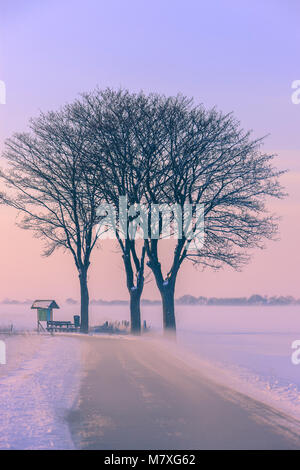 Winter in Holland in the Kroonpolder near Drieborg, far up north in the province of Groningen, Netherlands