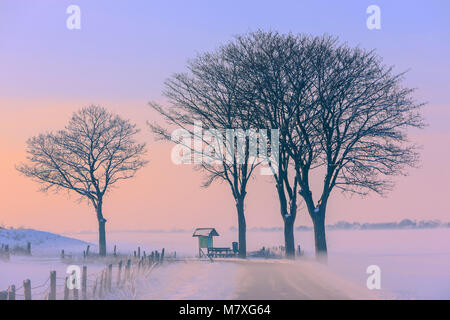 Winter in Holland in the Kroonpolder near Drieborg, far up north in the province of Groningen, Netherlands