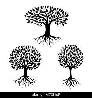 Set of abstract stylized trees with roots and leaves. Natural illustration Stock Vector