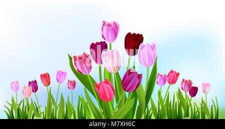 Floral Tulip spring banner Stock Vector