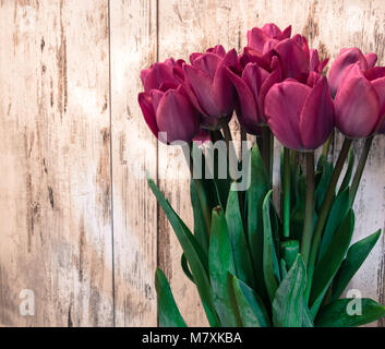 Banch of tulips vintage retro Stock Photo