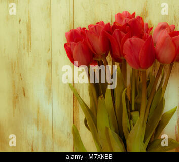 Banch of tulips vintage retro Stock Photo