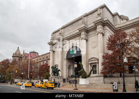 American Museum of Natural History Stock Photo