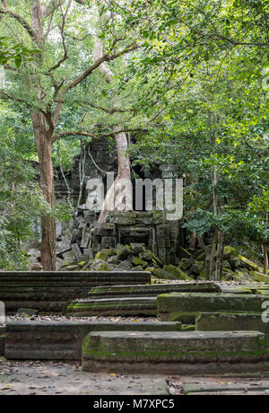 Prasat Beng Mealea Temple, Cambodia Stock Photo