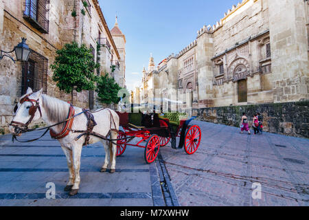 Cordoba, Andalusia, Spain : Horse drawn carriage next to the west facade of the Mosque–Cathedral along Calle Torrijos. Stock Photo