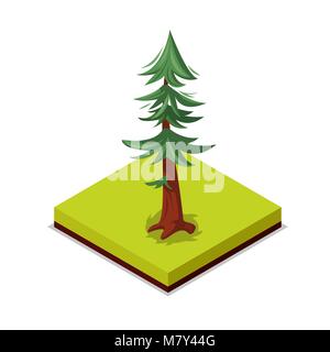 Green pine tree isometric 3D icon Stock Vector