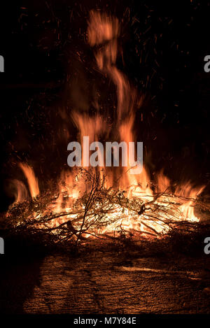 Branches on fire. Flames and sparkles on black background Stock Photo