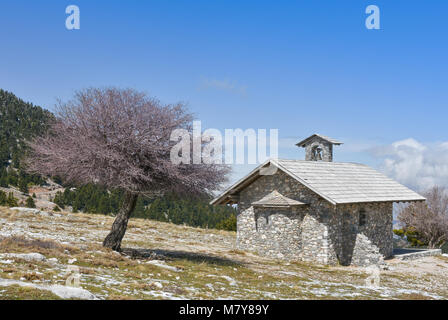 Winter landscape with a small chapel a tree and blue sky  on mountain Helmos near Kalavryta town in Greece Stock Photo