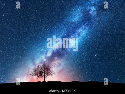 Trees against starry sky with Milky Way. Space background. Night landscape with alone trees on the hill and colorful bright milky way. Amazing galaxy. Stock Photo