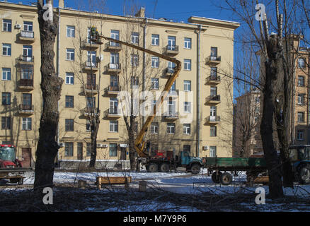 St. Petersburg, Russia, 5 March 2018, gardener cuts off a chainsaw branch old high trees in the city Stock Photo