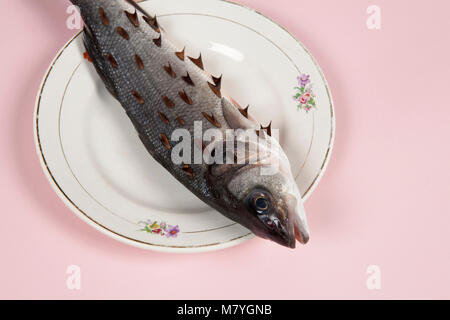 A bass fish with rosebush, thorns in a flower plate hidden on a vibrant ...