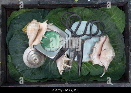 Original art still life of old coarse black scissors, alarm clock with green dial and sea shells on a background of fresh green cabbage leaves, interi Stock Photo