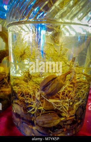 Close up of blurred seeds inside of whiskey flask, prepared by locals on an island off the coast of Laos, at the Golden Triangle Special Economic Zone Chinatown Stock Photo