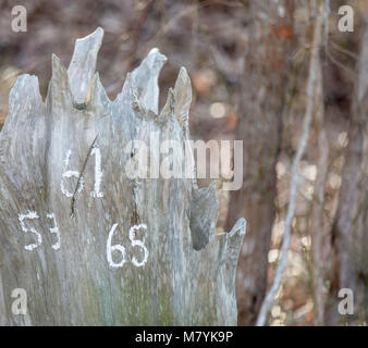 house numbers written in white paint on an old tree trunk Stock Photo