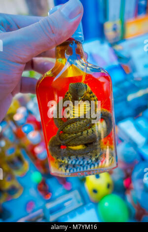 Close up of cobra inside of Whiskey prepared by locals on an island off the coast of Laos, at the Golden Triangle Special Economic atChinatown, these brews contain live cobra Stock Photo