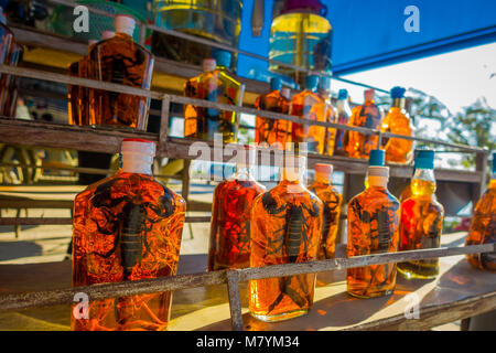 Close up of dead animals inside of whiskey flasks, prepared by locals on an island off the coast of Laos, at the Golden Triangle Special Economic Zone Chinatown