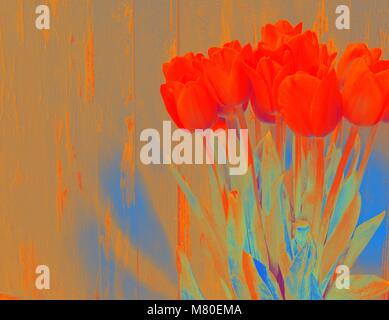 Banch of tulips color distirtion Stock Photo