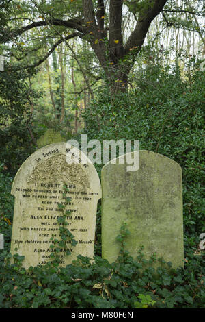 gravestones in the Victorian cemetery of Abney Park in Stoke Newington, north London, in the autumn Stock Photo