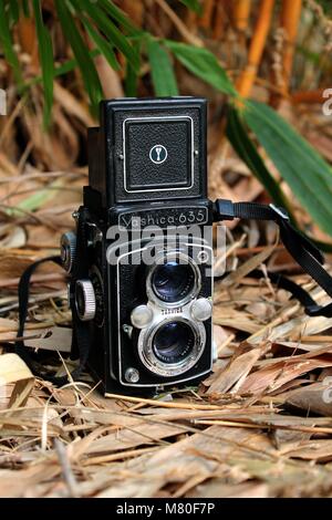 Old Camera, Yashica 365, Double lens camera Stock Photo