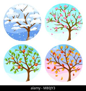 vector illustration of the four seasons of apple tree Stock Vector ...