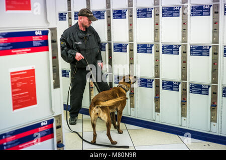 training of the police dog, Central Station Bavaria Nürnberg Hauptbahnhof, Nuremberg, Germany, Europe. Stock Photo