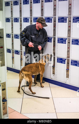 training of the police dog, Central Station Bavaria Nürnberg Hauptbahnhof, Nuremberg, Germany, Europe. Stock Photo