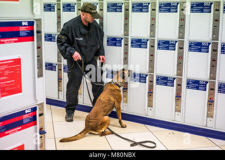 training of the police dog, Central Station Bavaria Nürnberg Hauptbahnhof, Nuremberg, Germany, Europe. Stock Photo