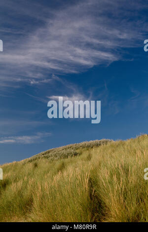 Grass covered sand dunes at Llandudno West Shore on the North Wales coast Stock Photo