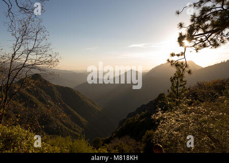 Kings Canyon Sequoia National Park in California Stock Photo