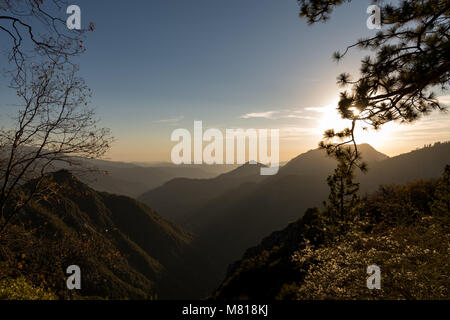 Kings Canyon Sequoia National Park in California Stock Photo