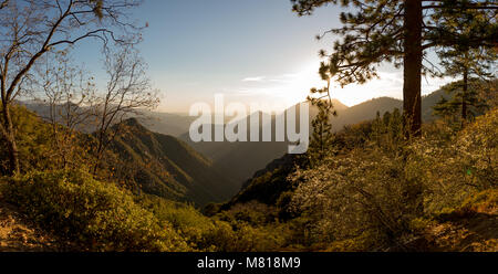 Kings Canyon Sequoia National Park in California Stock Photo