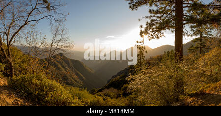 Kings Canyon Sequoia National Park in California Stock Photo