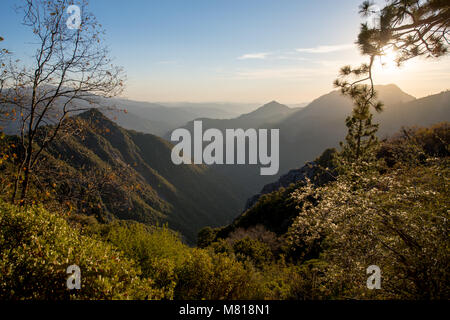 Kings Canyon Sequoia National Park in California Stock Photo