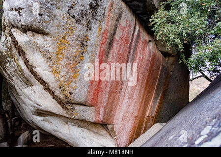 Kings Canyon Sequoia National Park in California Stock Photo