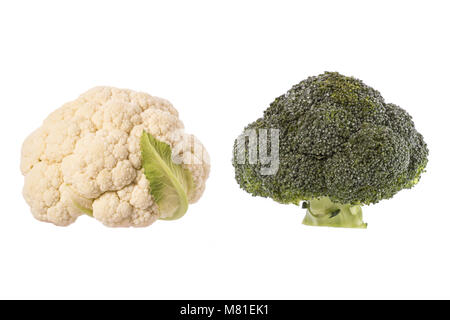 Frsh white cauliflower and Green broccoli. Studio shot isolated on white background Stock Photo