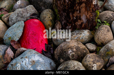 Pile of rocks with 1 painted red next to a tree trunk with bark Stock Photo