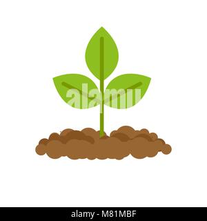 Sprout grows from ground. Plants in soil Stock Vector