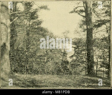 By trolley through eastern New England (1904) (14589965988) Stock Photo