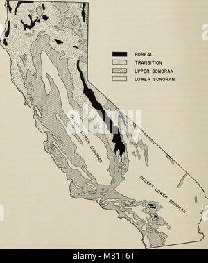 California grasslands and range forage grasses (0724) (20505909602) Stock Photo