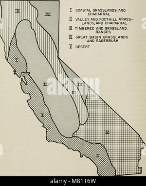 California grasslands and range forage grasses (0724) (20505915902) Stock Photo