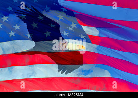 American Bald Eagle in flight and the Flag of the United States of America composite over clouds Stock Photo