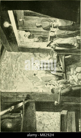 Bulletin - United States National Museum (1891) (20496355672) Stock Photo