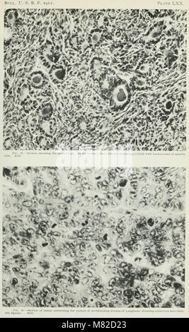 Carcinoma of the thyroid in the salmonoid fishes (1914) (19911774384)